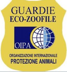 Logo OIPA